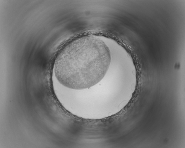 X0000111810824200908131457