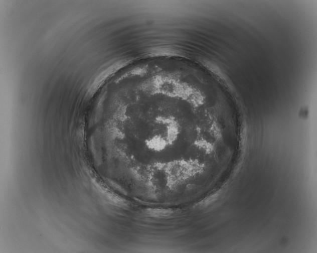 X0000111810825200908131457