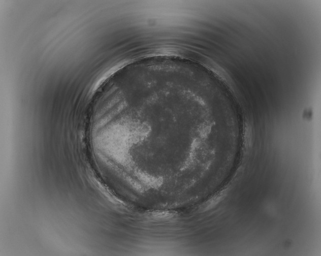 X0000111810826200908131457