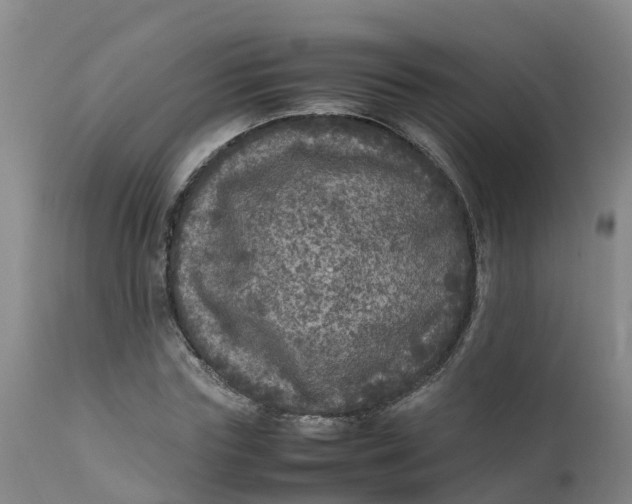 X0000111810827200908131457