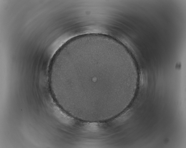 X0000111810828200908131457