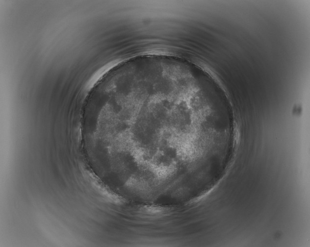 X0000111810829200908131457