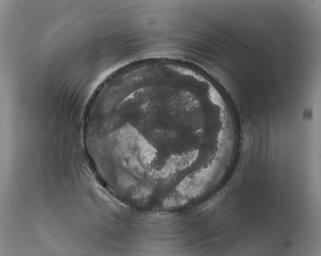 X0000111810830200908131457