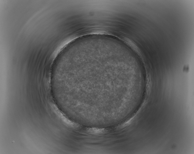 X0000111810831200908131457