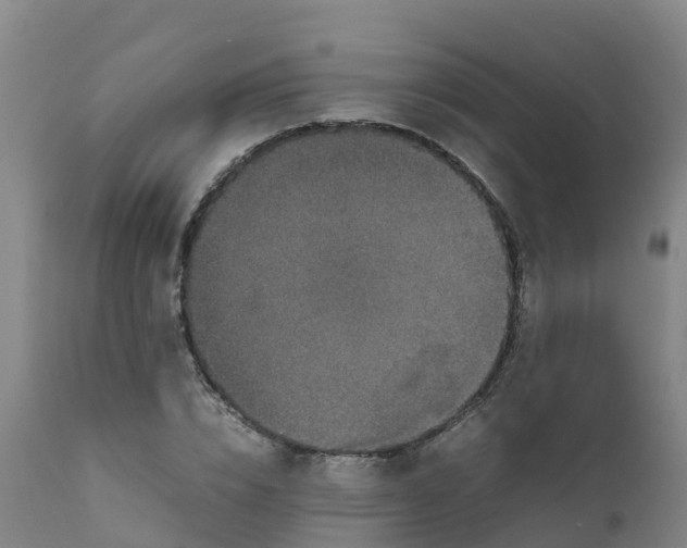 X0000111810832200908131457