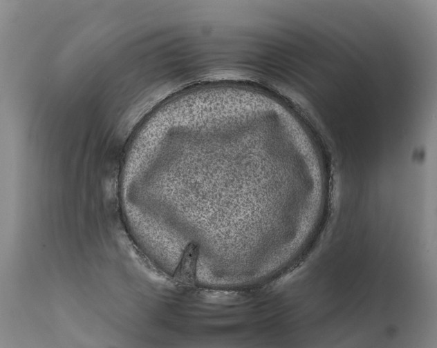 X0000111810833200908131457