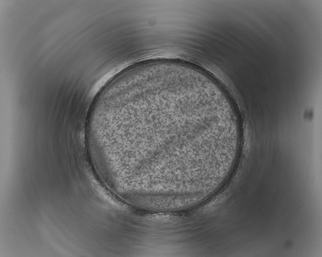 X0000111810834200908131457