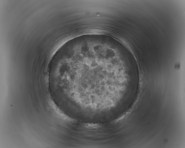 X0000111810835200908131457
