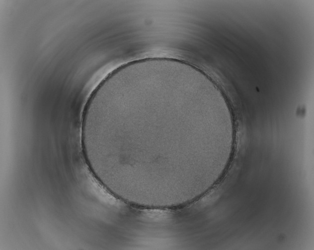 X0000111810836200908131457