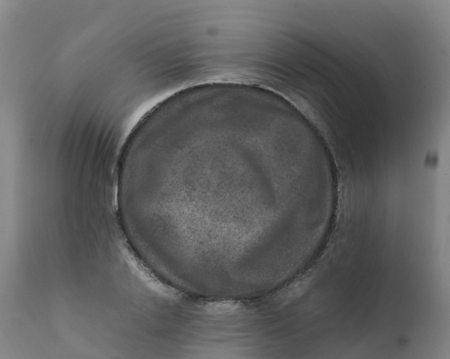 X0000111810838200908131457