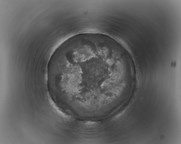 X0000111810839200908131457