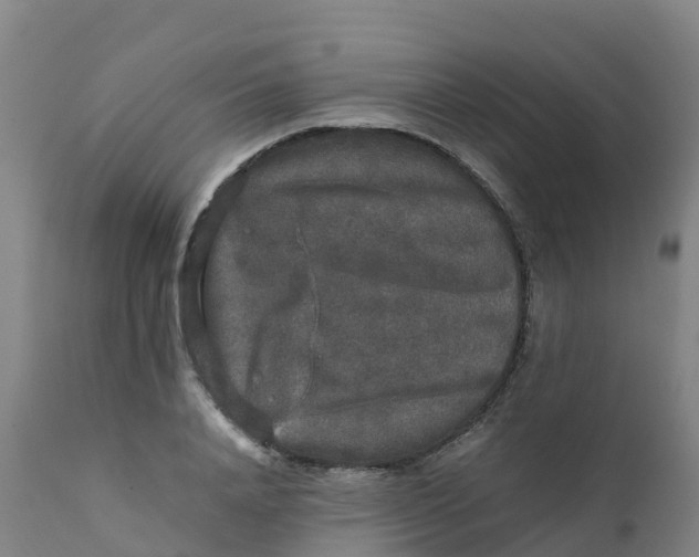 X0000111810840200908131457