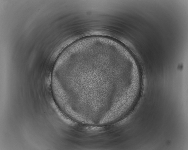 X0000111810841200908131457