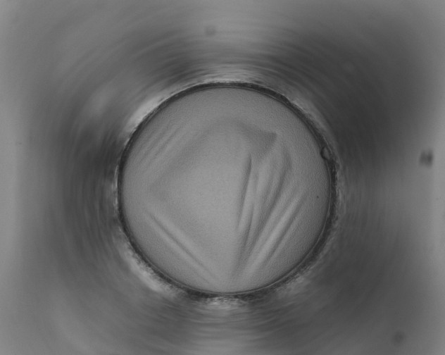 X0000111810842200908131457