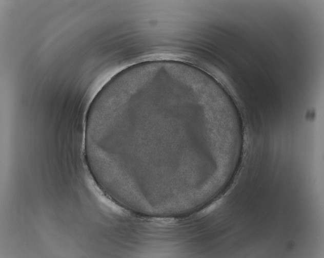 X0000111810844200908131457