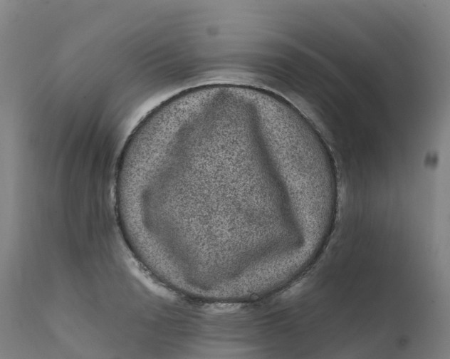 X0000111810846200908131457