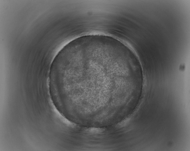 X0000111810847200908131457