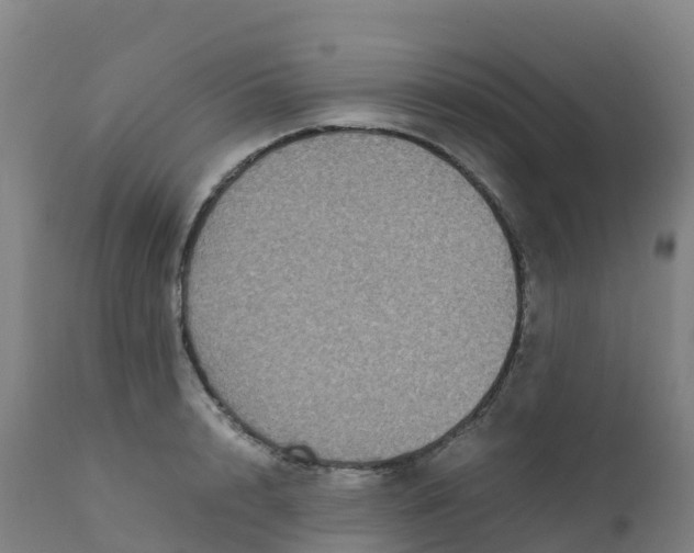 X0000111810848200908131457