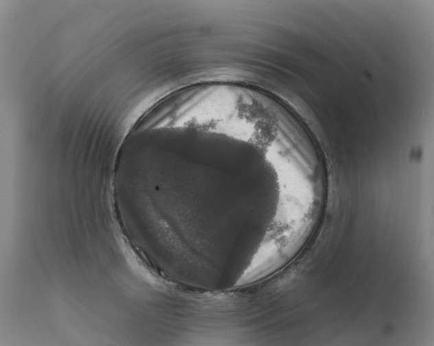 X0000111810850200908131457