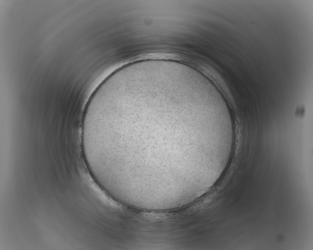 X0000111810852200908131457