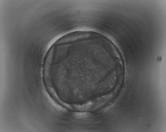 X0000111810853200908131457