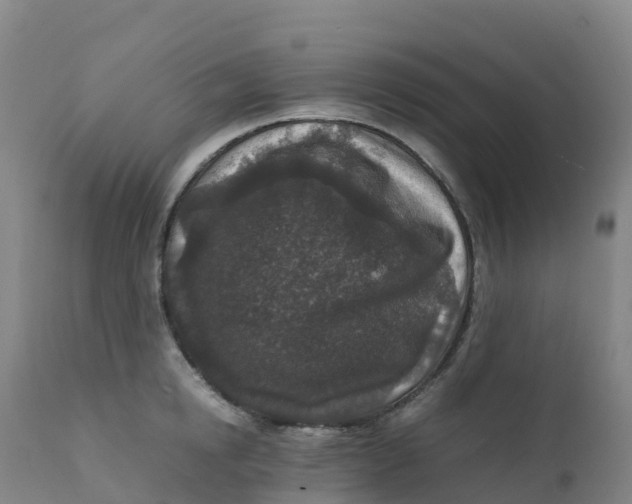 X0000111810854200908131457