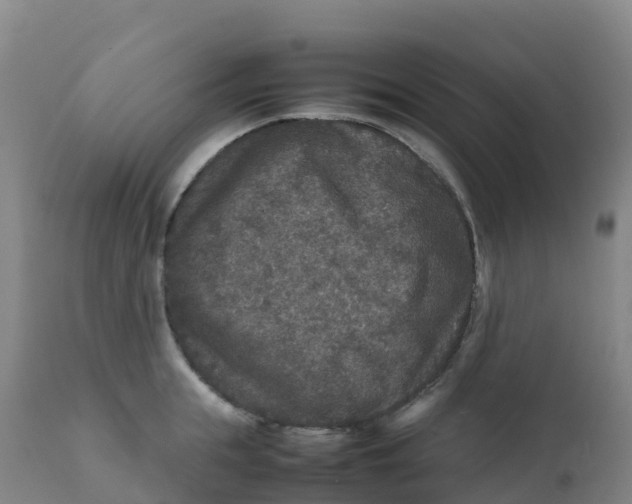 X0000111810855200908131457