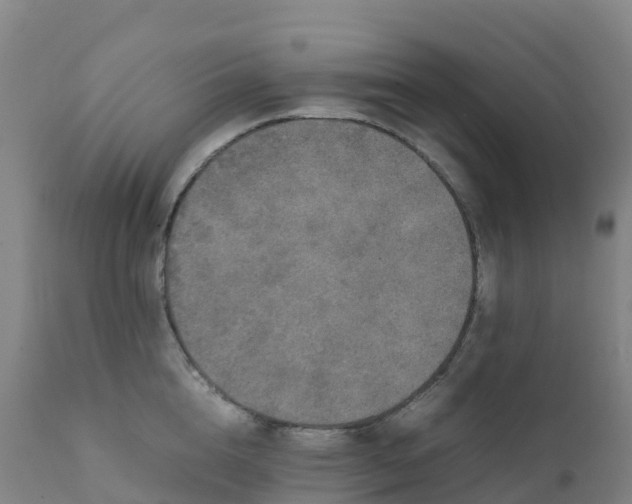 X0000111810856200908131457