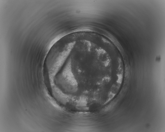 X0000111810858200908131457