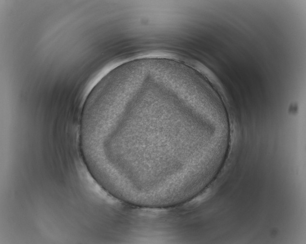 X0000111810860200908131457