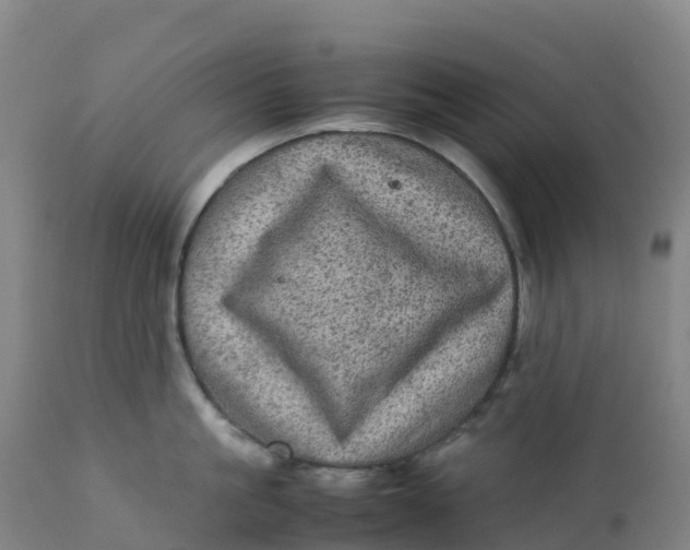 X0000111810861200908131457