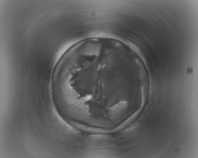 X0000111810863200908131457