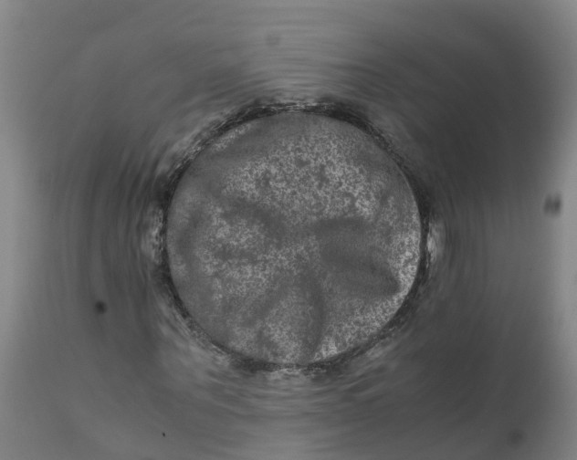 X0000111810867200908131457