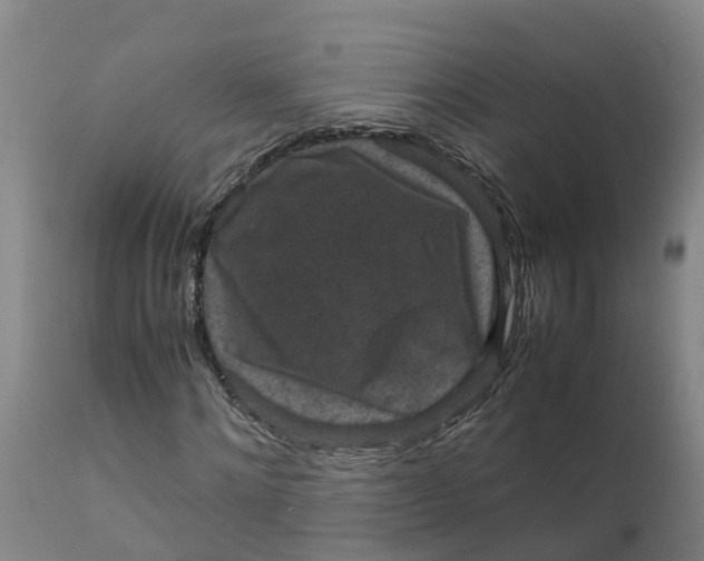 X0000111810868200908131457