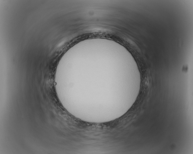 X0000111810869200908131457