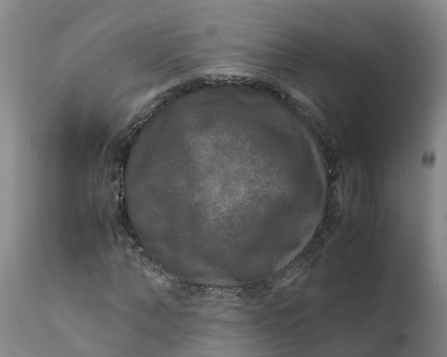 X0000111810870200908131457