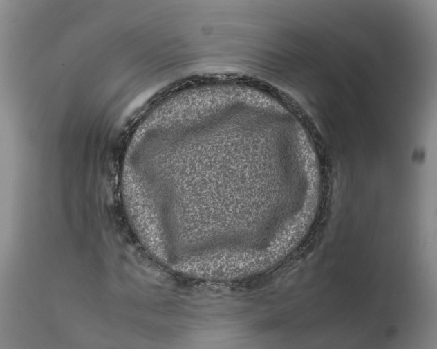 X0000111810871200908131457