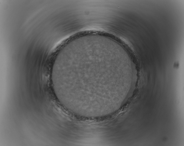 X0000111810872200908131457