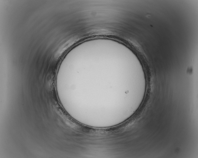 X0000111810873200908131457
