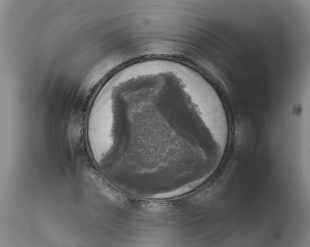 X0000111810874200908131457