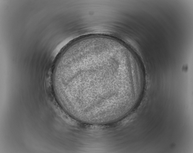 X0000111810875200908131457