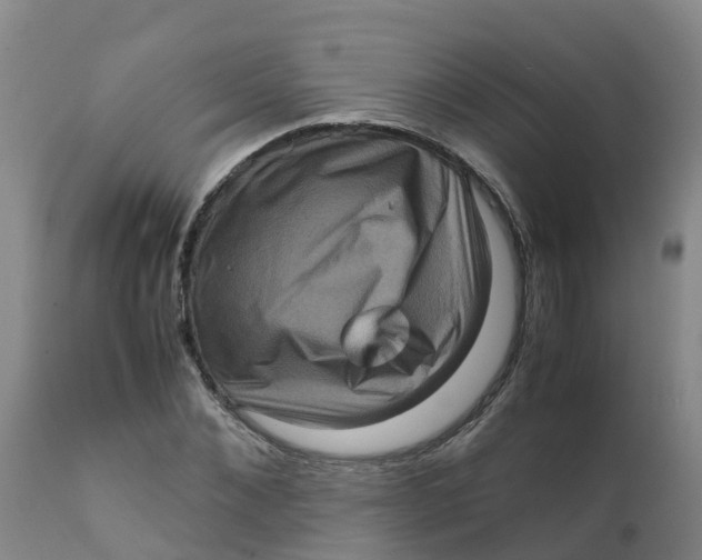 X0000111810876200908131457