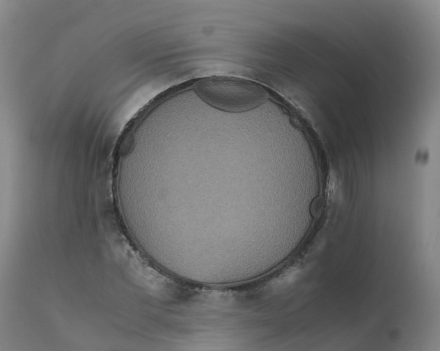 X0000111810877200908131457