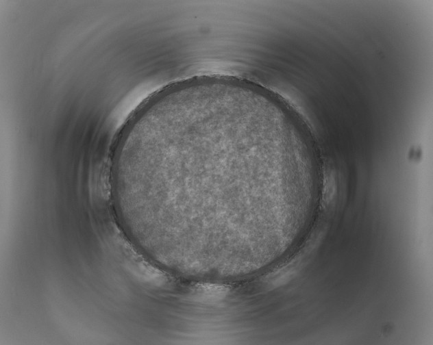 X0000111810878200908131457