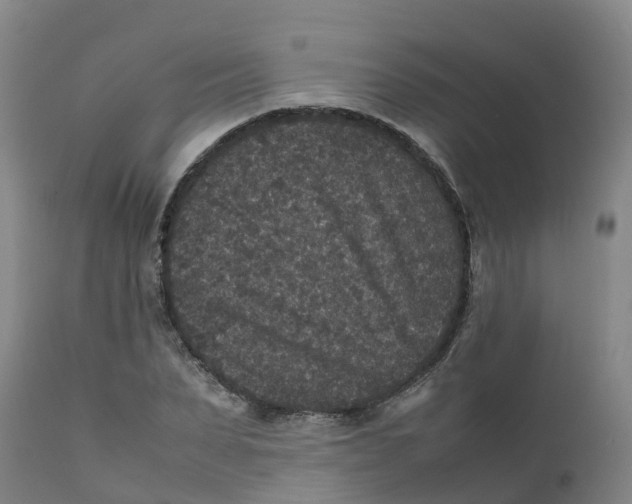 X0000111810879200908131457