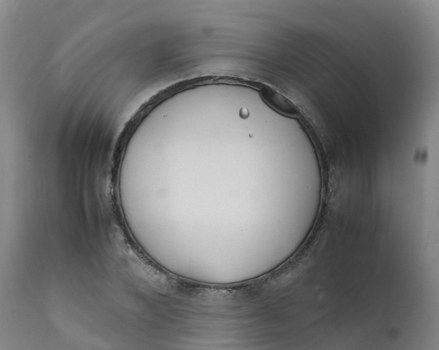 X0000111810880200908131457