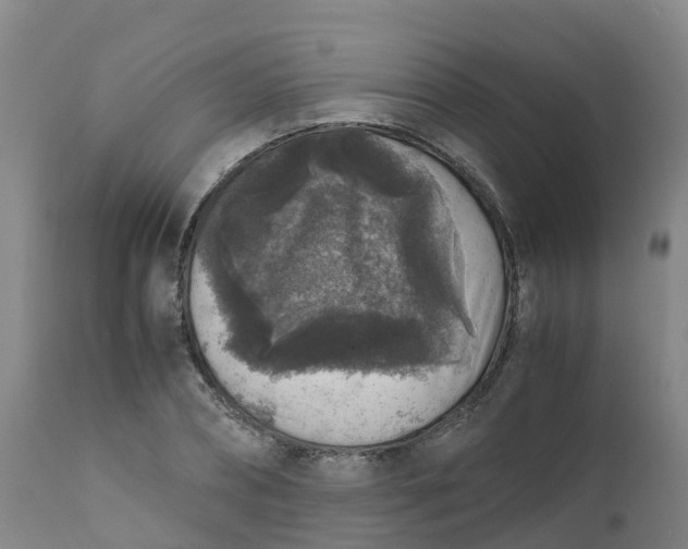 X0000111810882200908131457