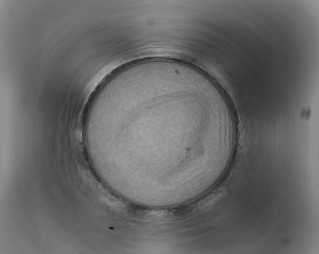 X0000111810883200908131457