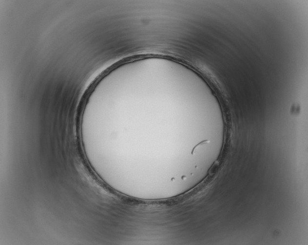 X0000111810884200908131457