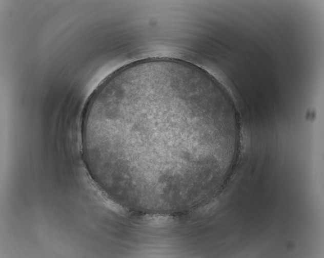 X0000111810886200908131457